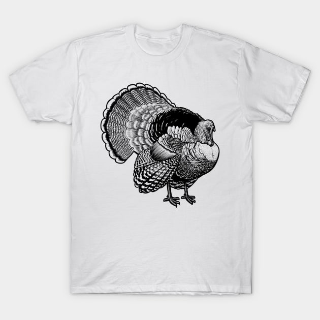 Turkey T-Shirt by mattleckie